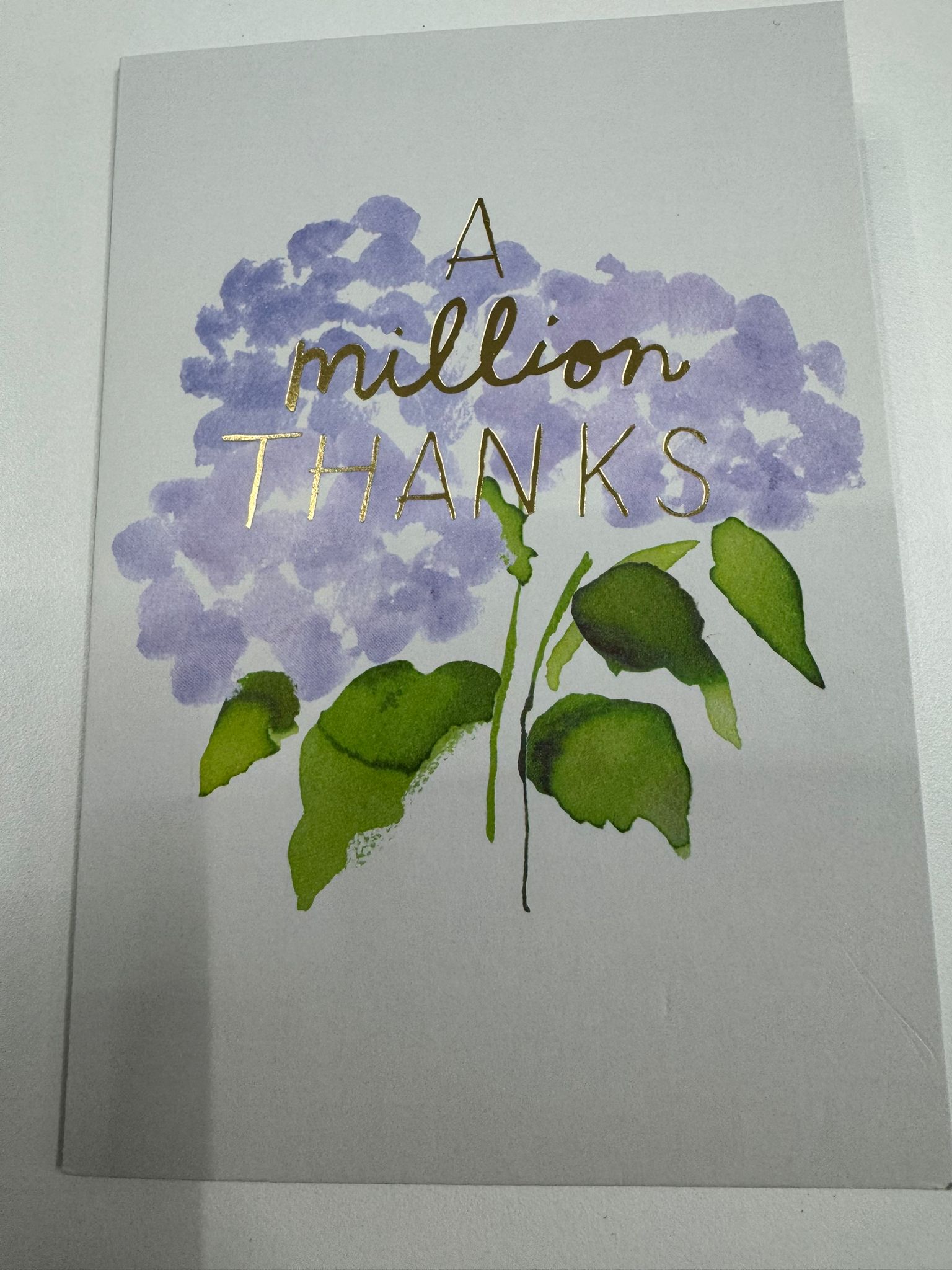 WhatsApp Image 2026-03-13 at 15.32.34 (2)